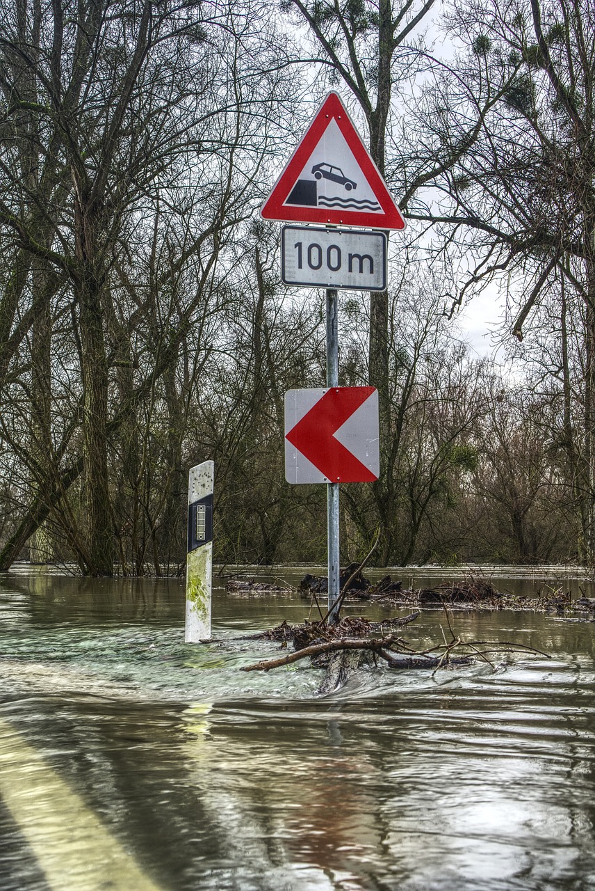 flood, flow, flooding